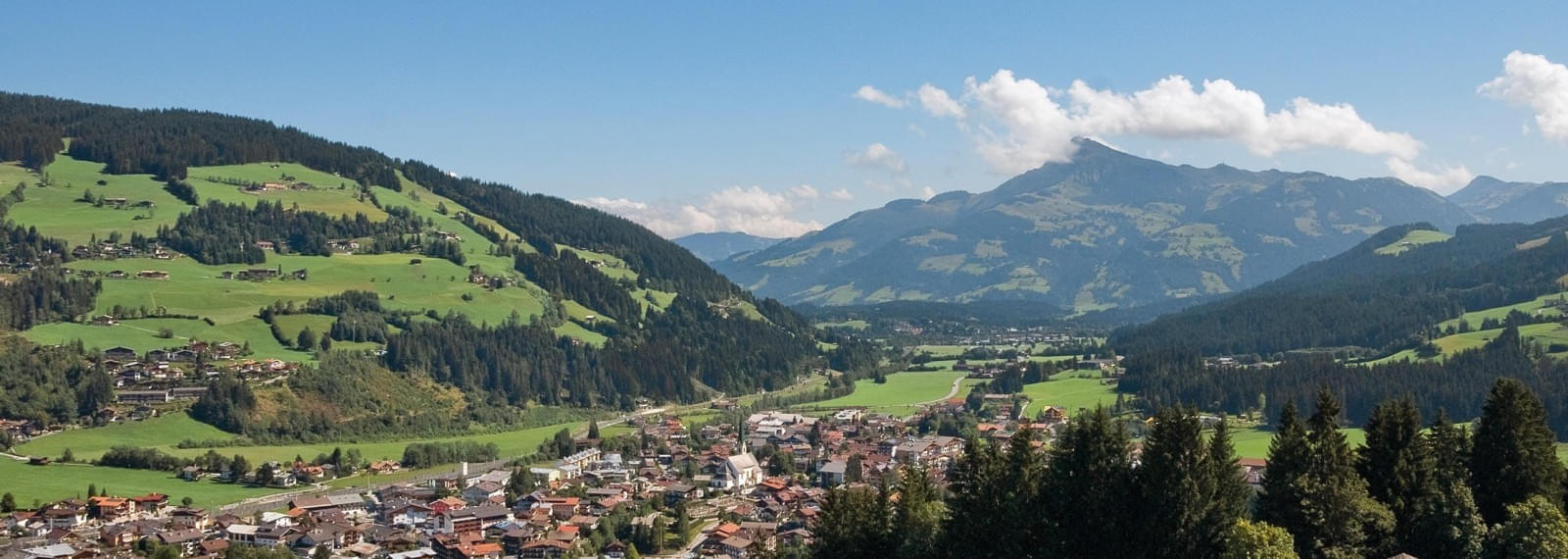 Kirchberg in Tirol im Sommer / Blick auf Sonnberg und Kitzbühler Horn