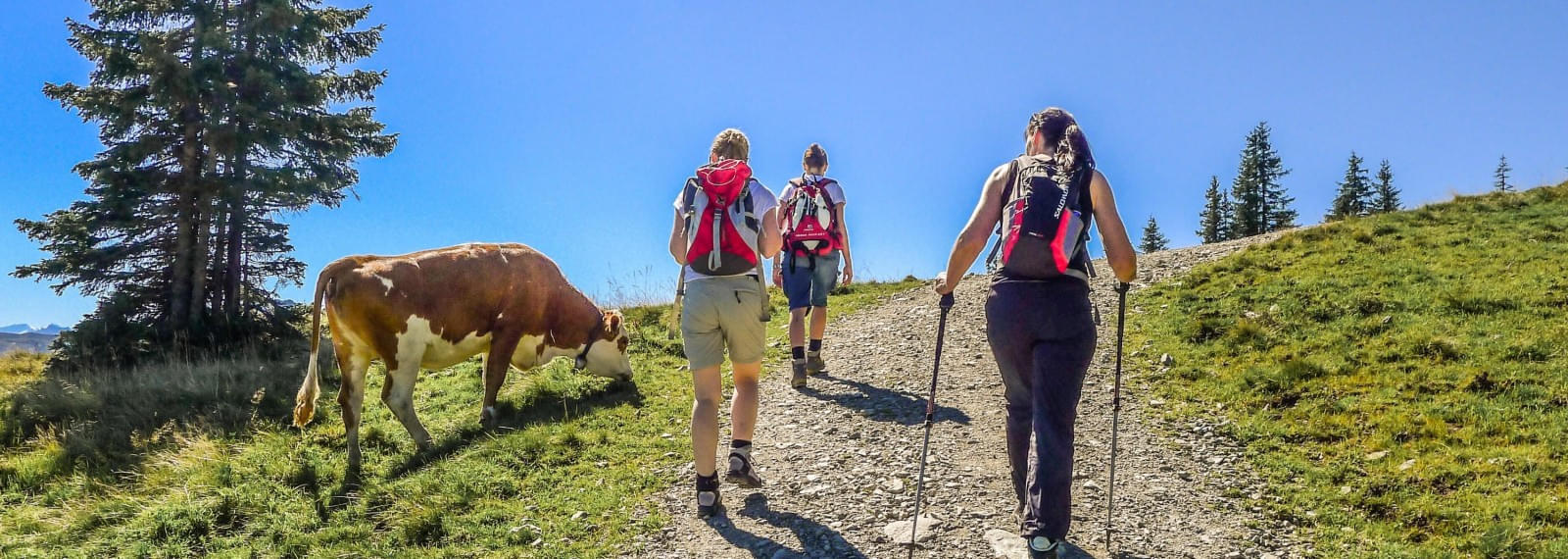 Wanderung zur Wiegalm