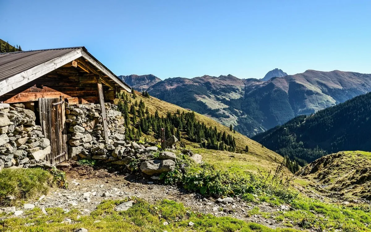 Wandern-ueber-Stock-und-Stein